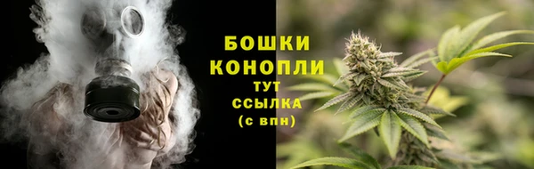 ECSTASY Бородино