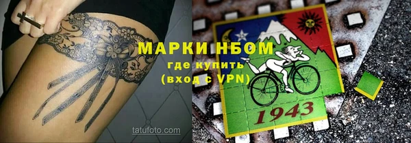 ECSTASY Бородино