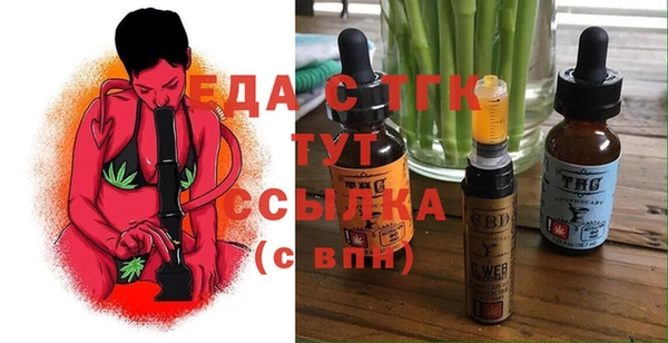 ECSTASY Бородино