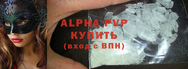 ECSTASY Бородино