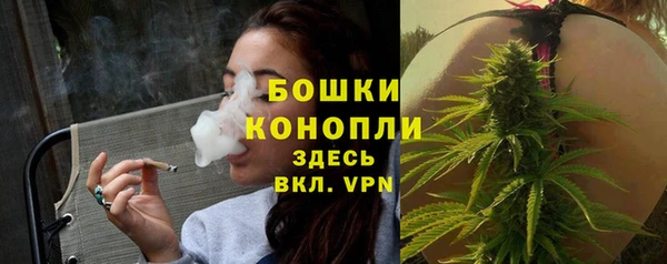 гашик Бронницы