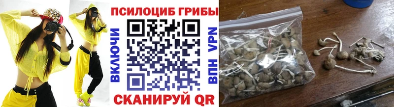 что такое наркотик  Вельск  Псилоцибиновые грибы мицелий 